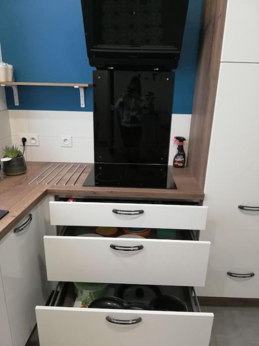 Bel Appartement Coeur De Grenoble Tout Equipe エクステリア 写真