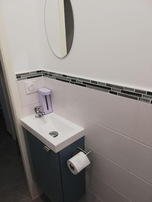 Bel Appartement Coeur De Grenoble Tout Equipe エクステリア 写真